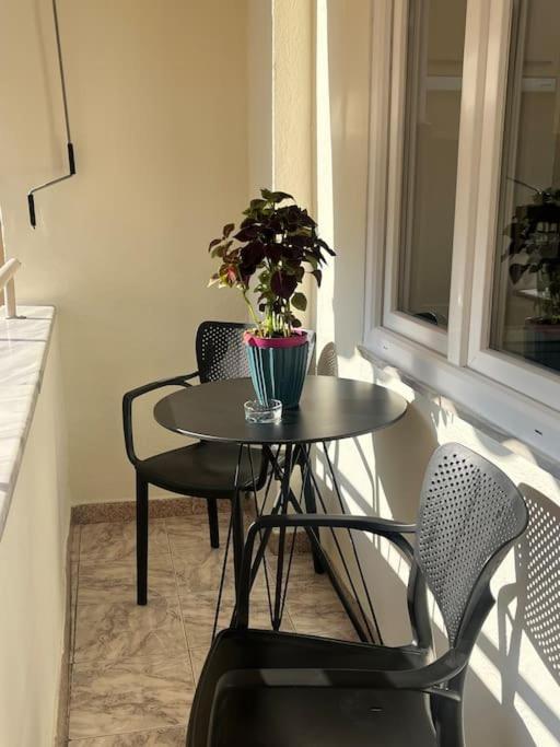 Vibrant & Central Tirana Oasis 외부 사진